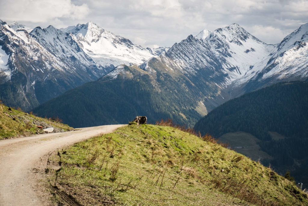 A winding road near the top of Gerlosberg, snow capped mountains in the background
