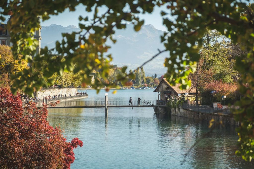 A cute bridge on the river Aare in Thun framed by a tree