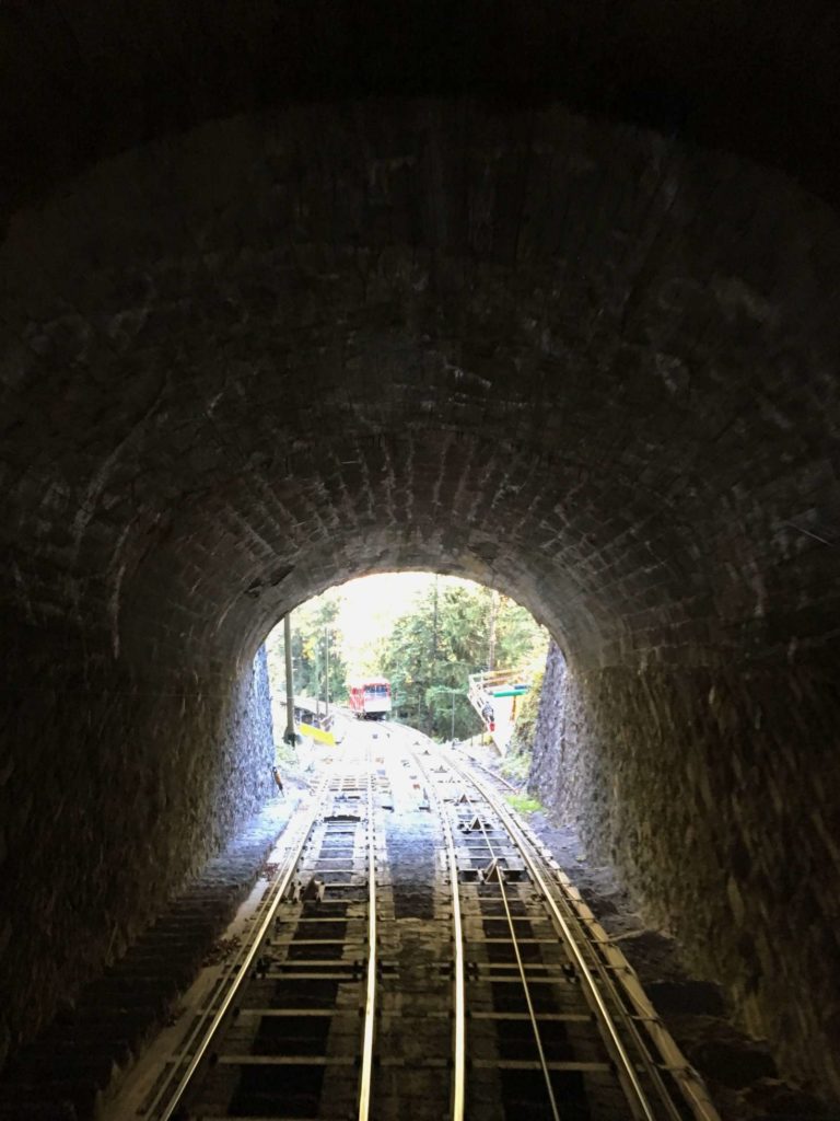 View from the Niesenbahn halfway station, from inside a tunnel