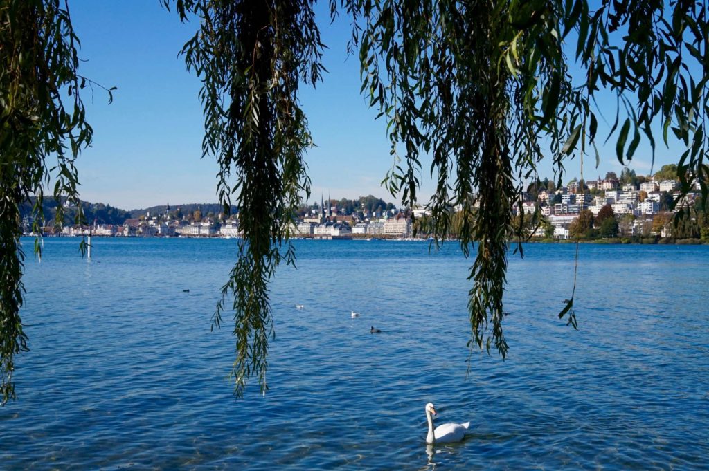 Vierwaldstättersee