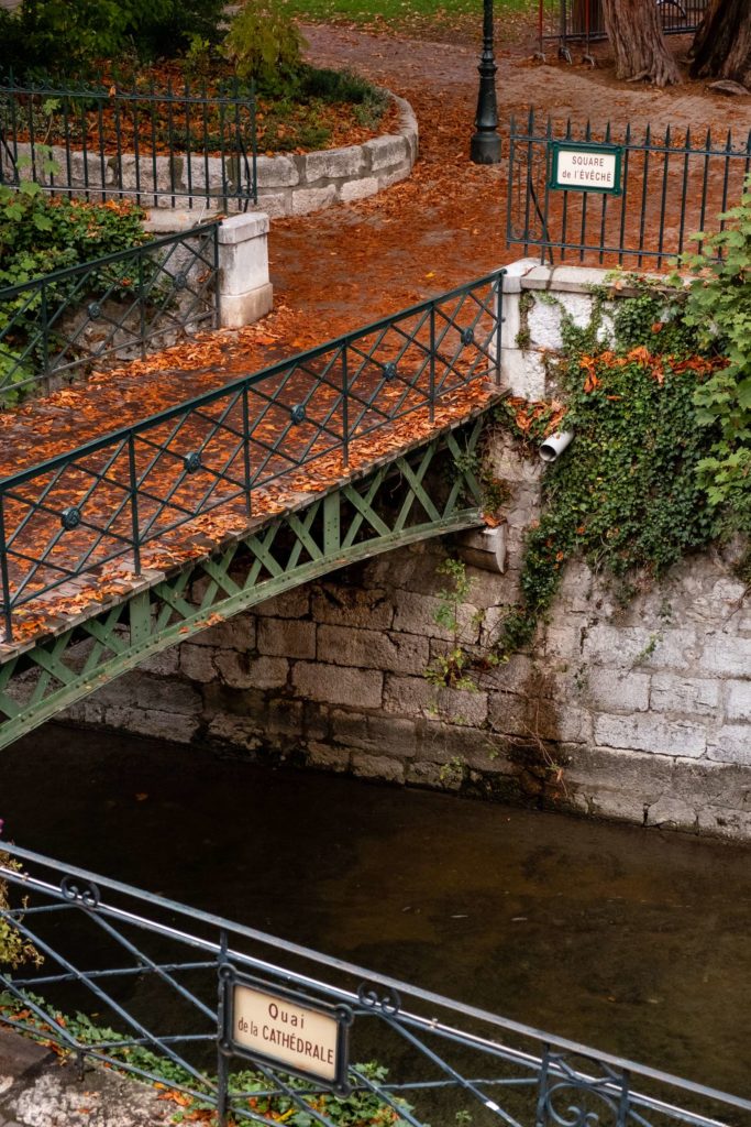 Cute bridge full of fallen leaves