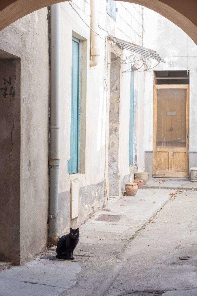 Black cat in Arles archway