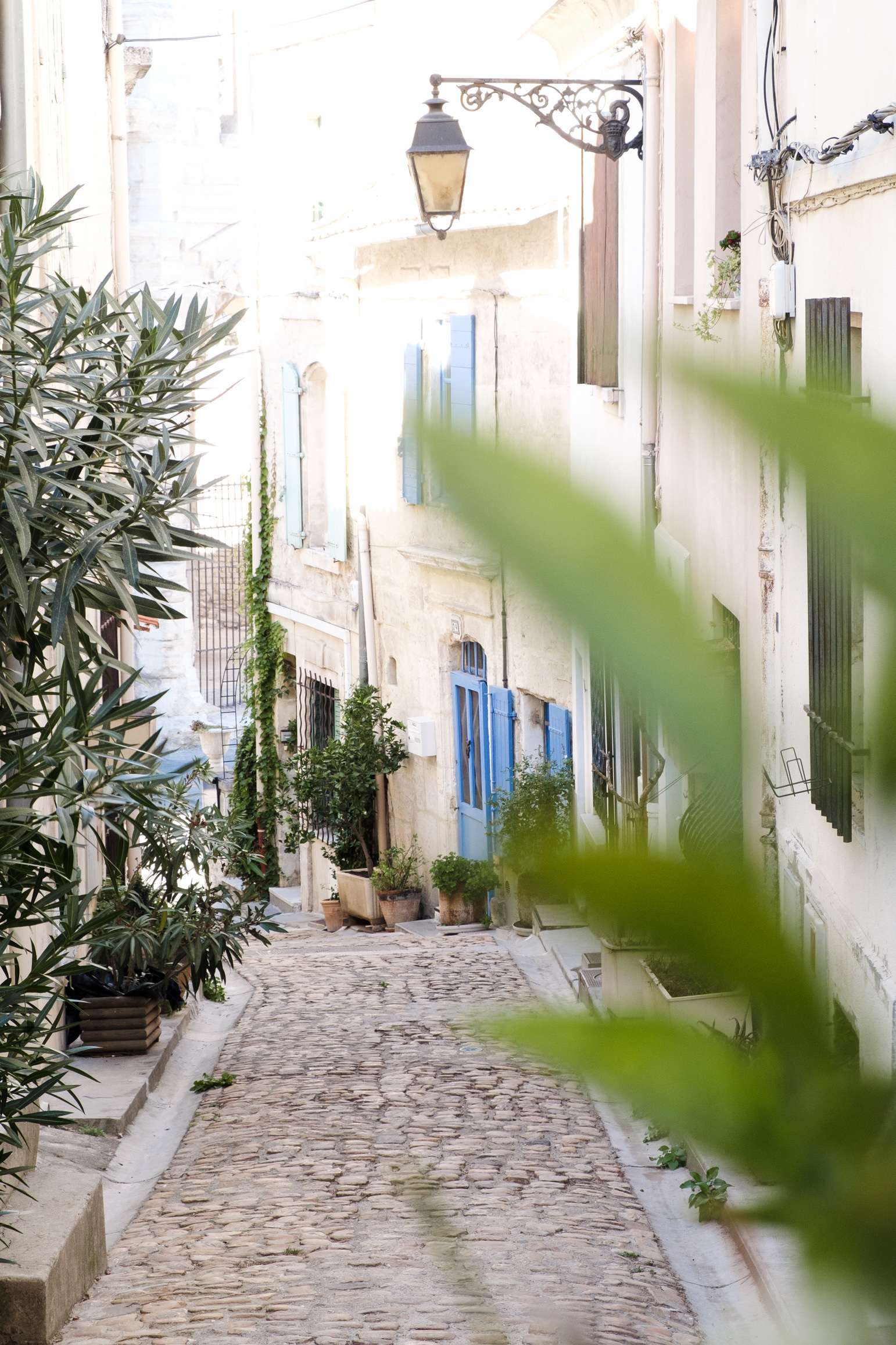 Cobbled street leading to Arles colosseum with lots of greenery