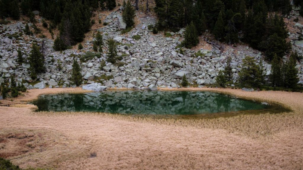 Small lake in Aigüestortes i Estany of Saint Maurici national park surrounded by boulders and orange grass