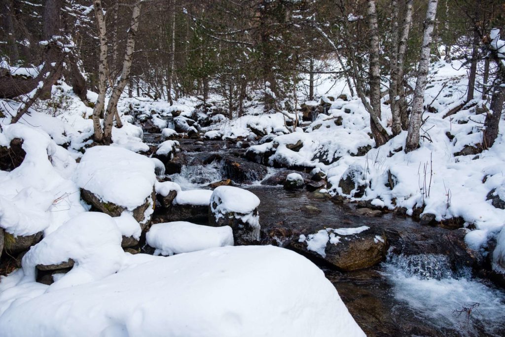 River through snowy woods near Espot