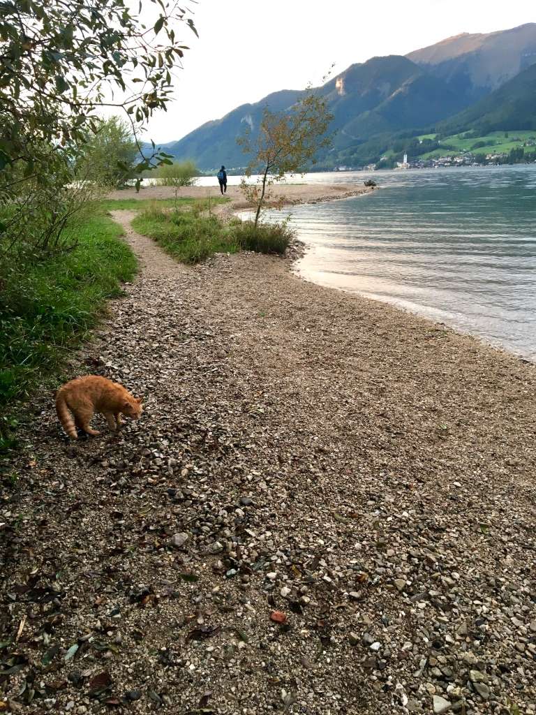 Aydin and kitty on secret beach on Wolfgangsee