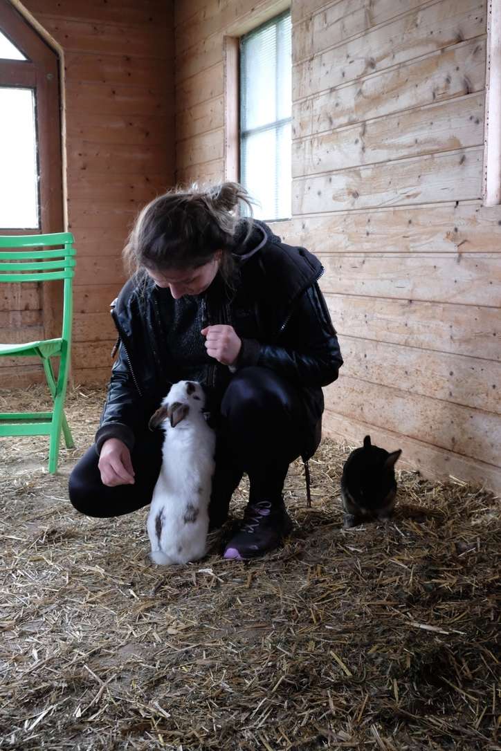 Caroline petting rabbit at Wolfgangsee petting zoo