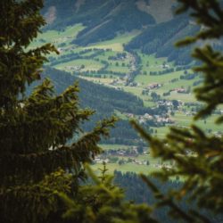 Schladming framed by pine trees