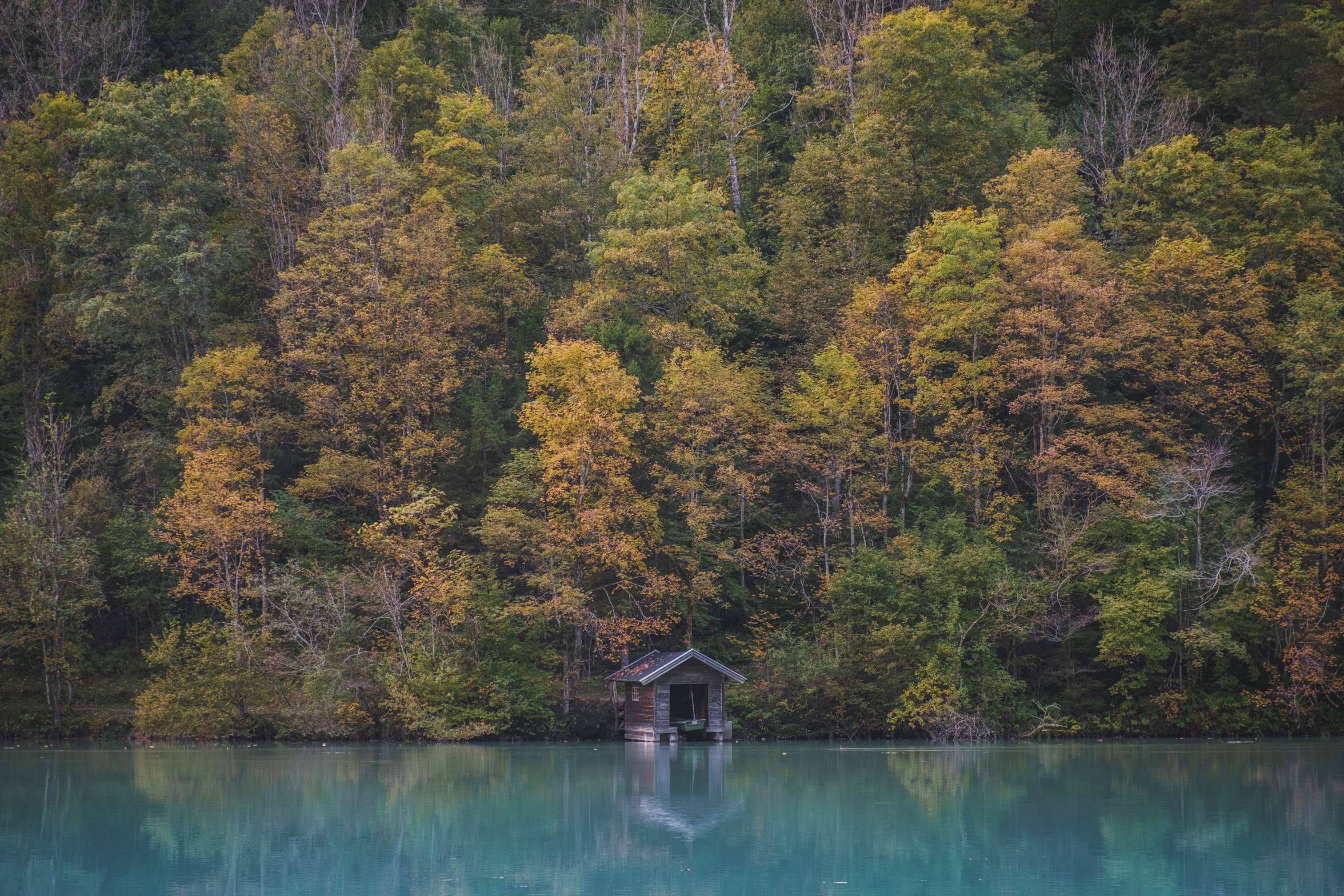 A small wooden boathouse reflects in Klamsee with autumn coloured trees surrounding