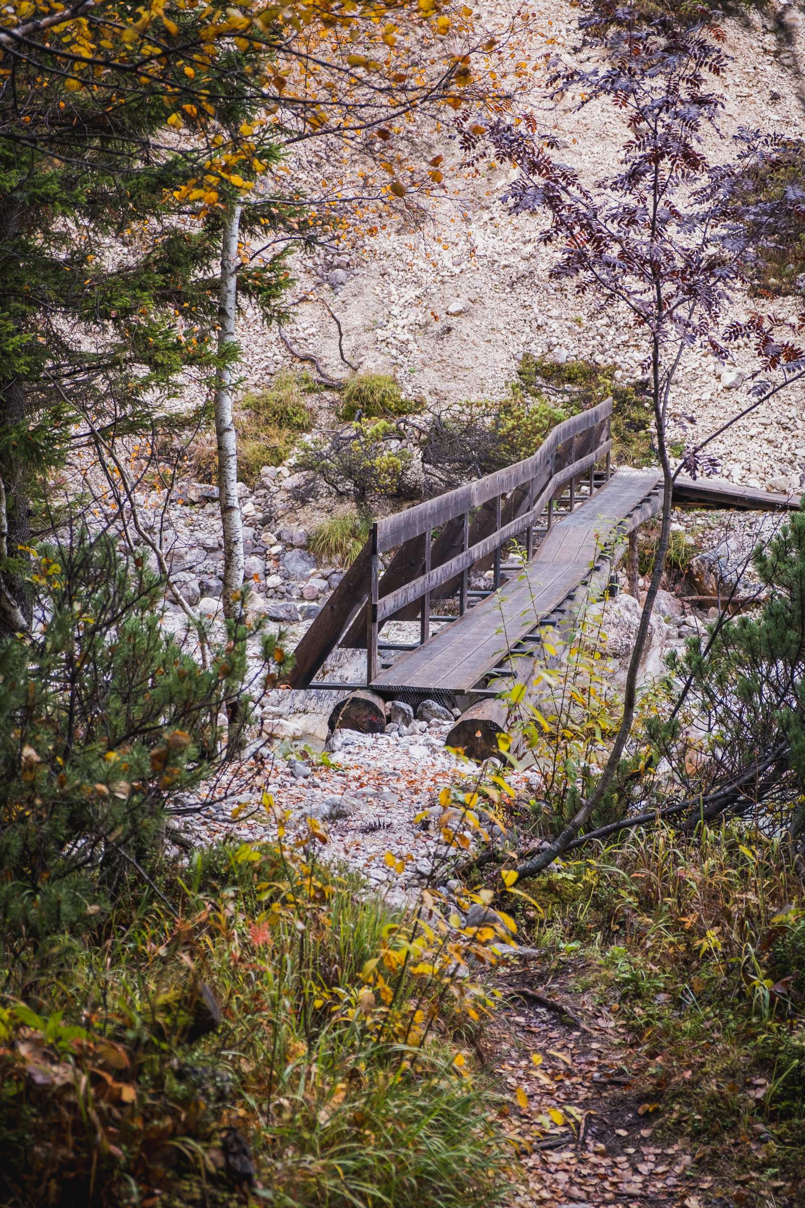 A cute wooden bridge crossing the stream