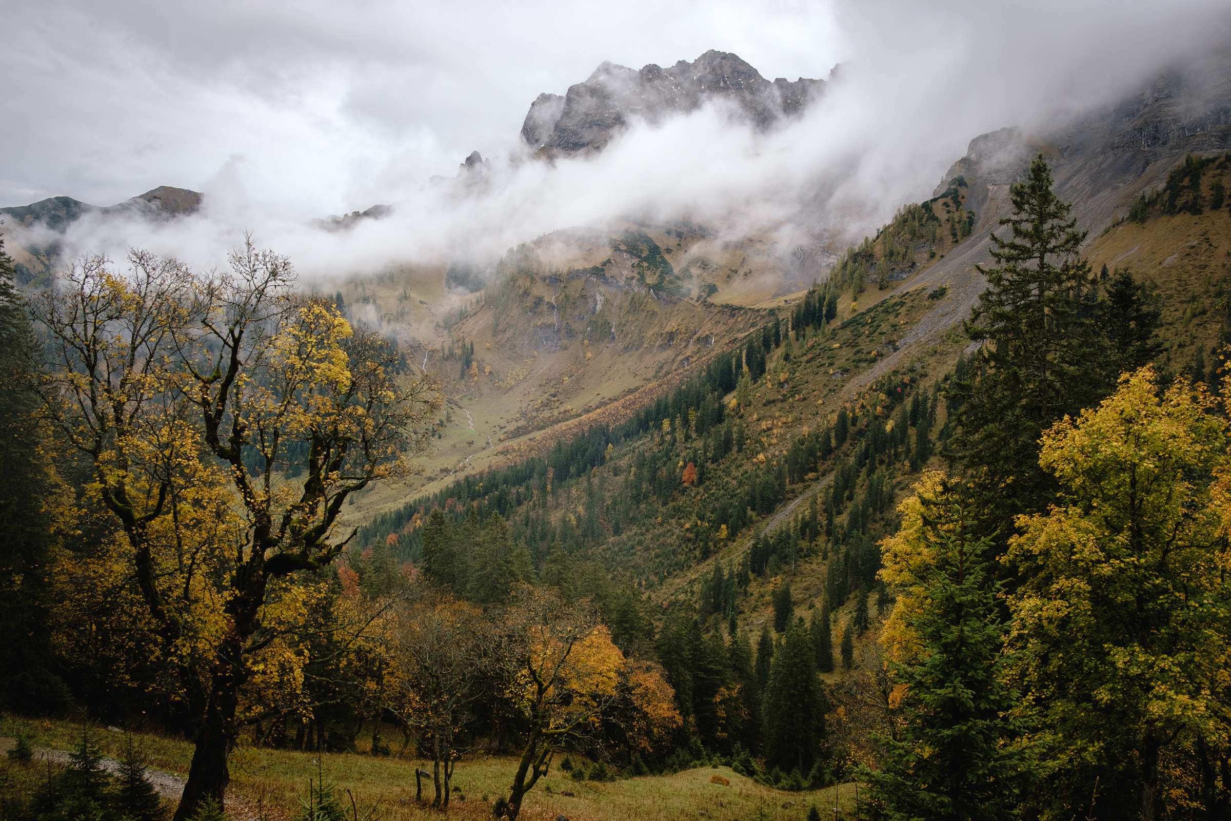 Karwendel mountain peaks flanked by clouds, yellow and green trees dotting the landscape