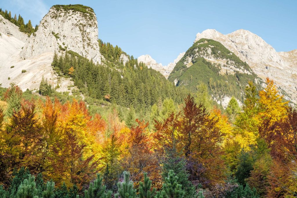 Huge Karwendel mountains covered in dense autumn forest