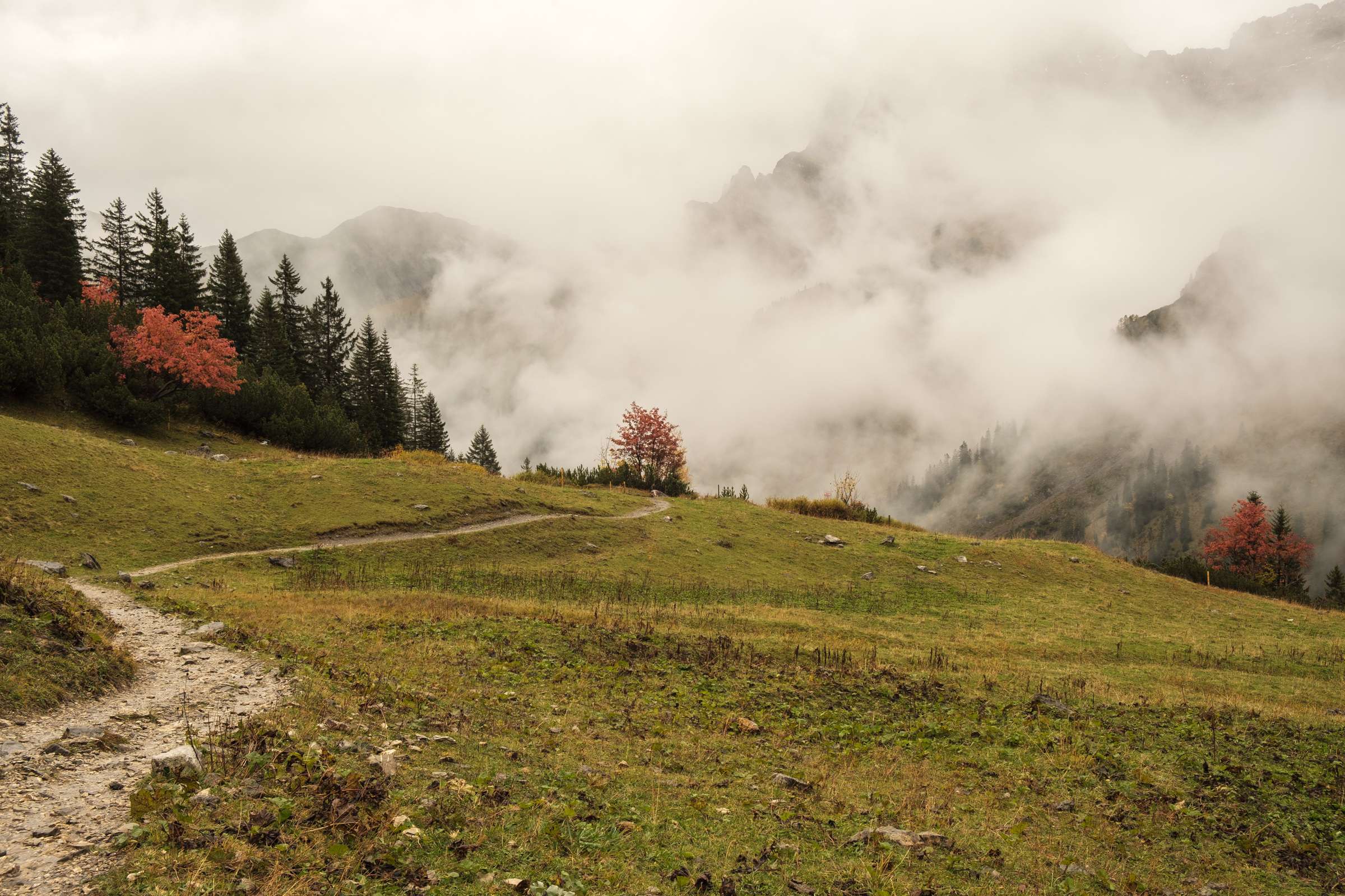 A path snaking through an alpine pasture in the Karwendel mountains towards the clouds