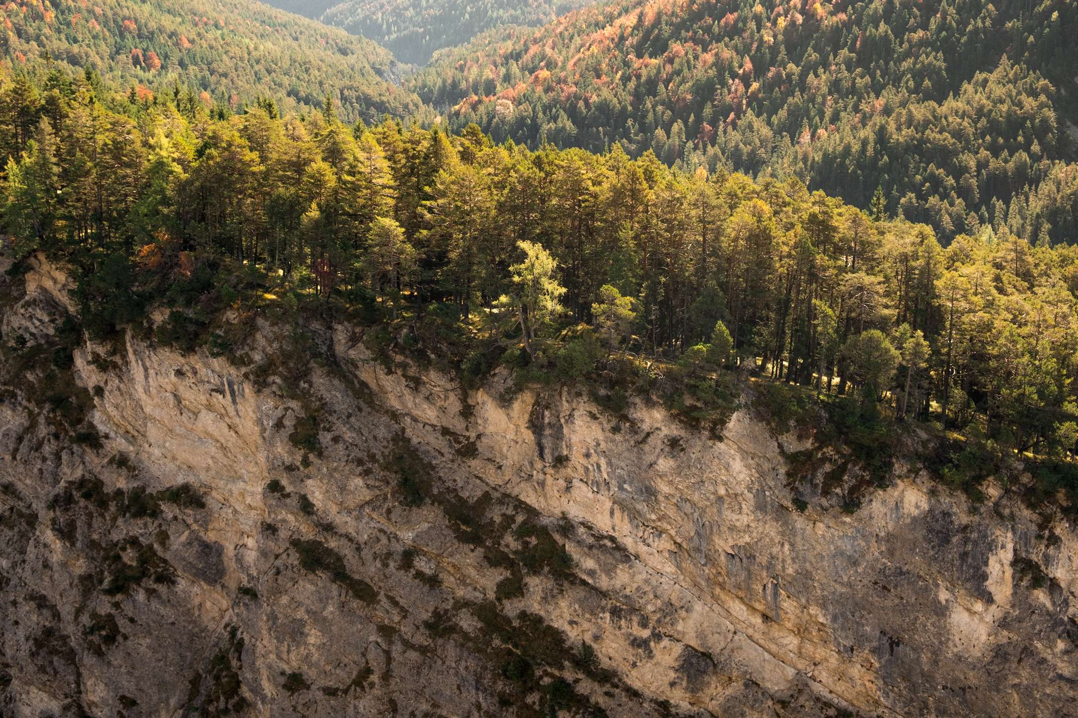 A high river gorge in the Karwendel with sheer open rock face. Forests cover the top of the endless landscape.