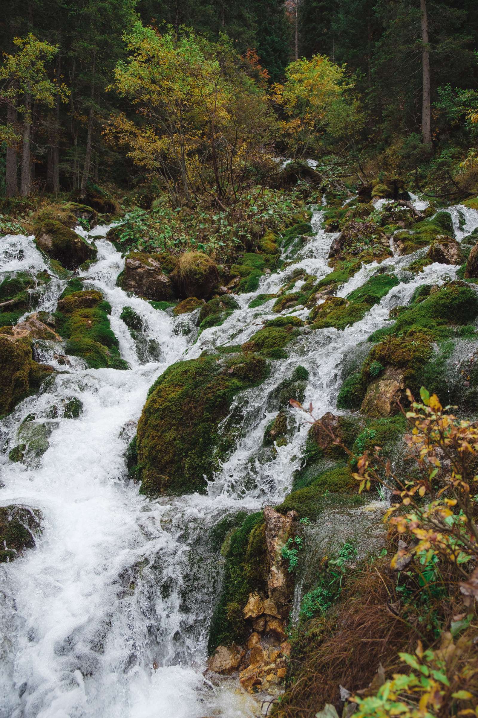 A beautiful waterfall running around moss covered rocks and trees