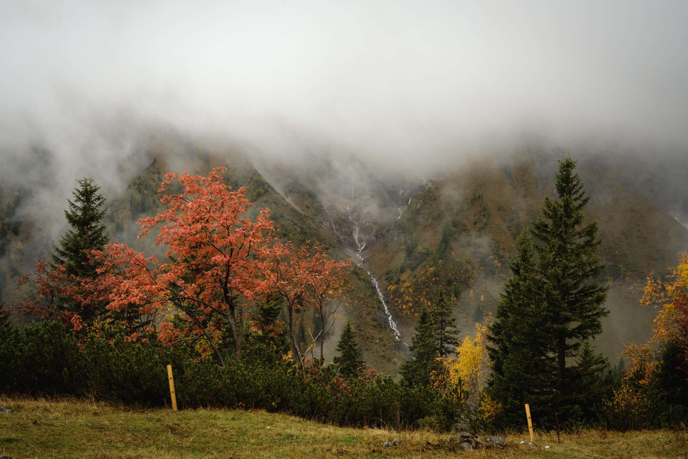 Clouds engulfing the valley, autumn trees and waterfalls