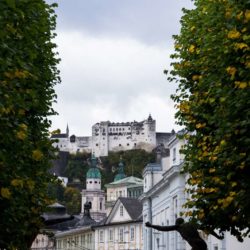 Salzburg castle framed by trees