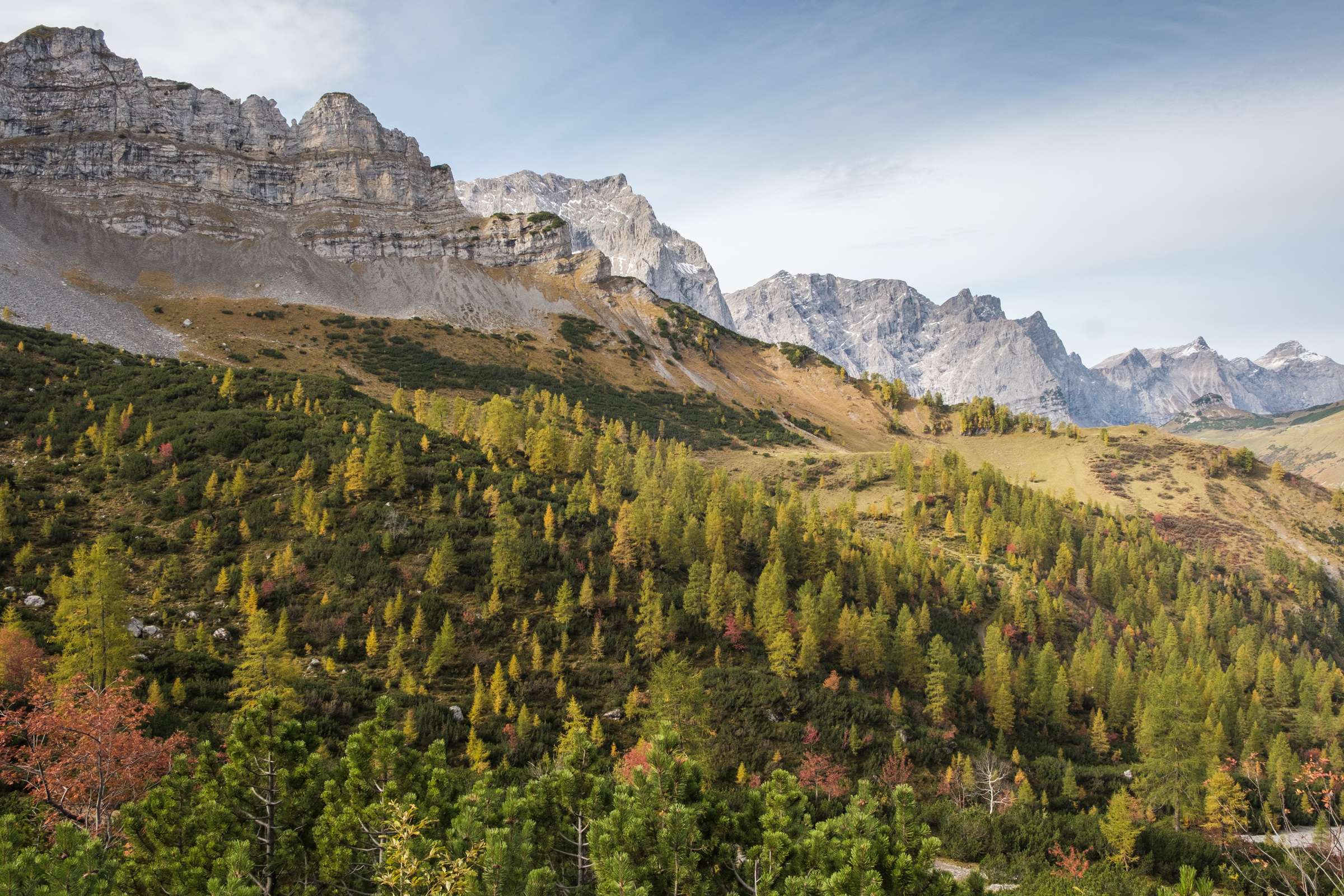 Blue skies, mountain peaks and autumnal forest on the ascent from Eng Alm