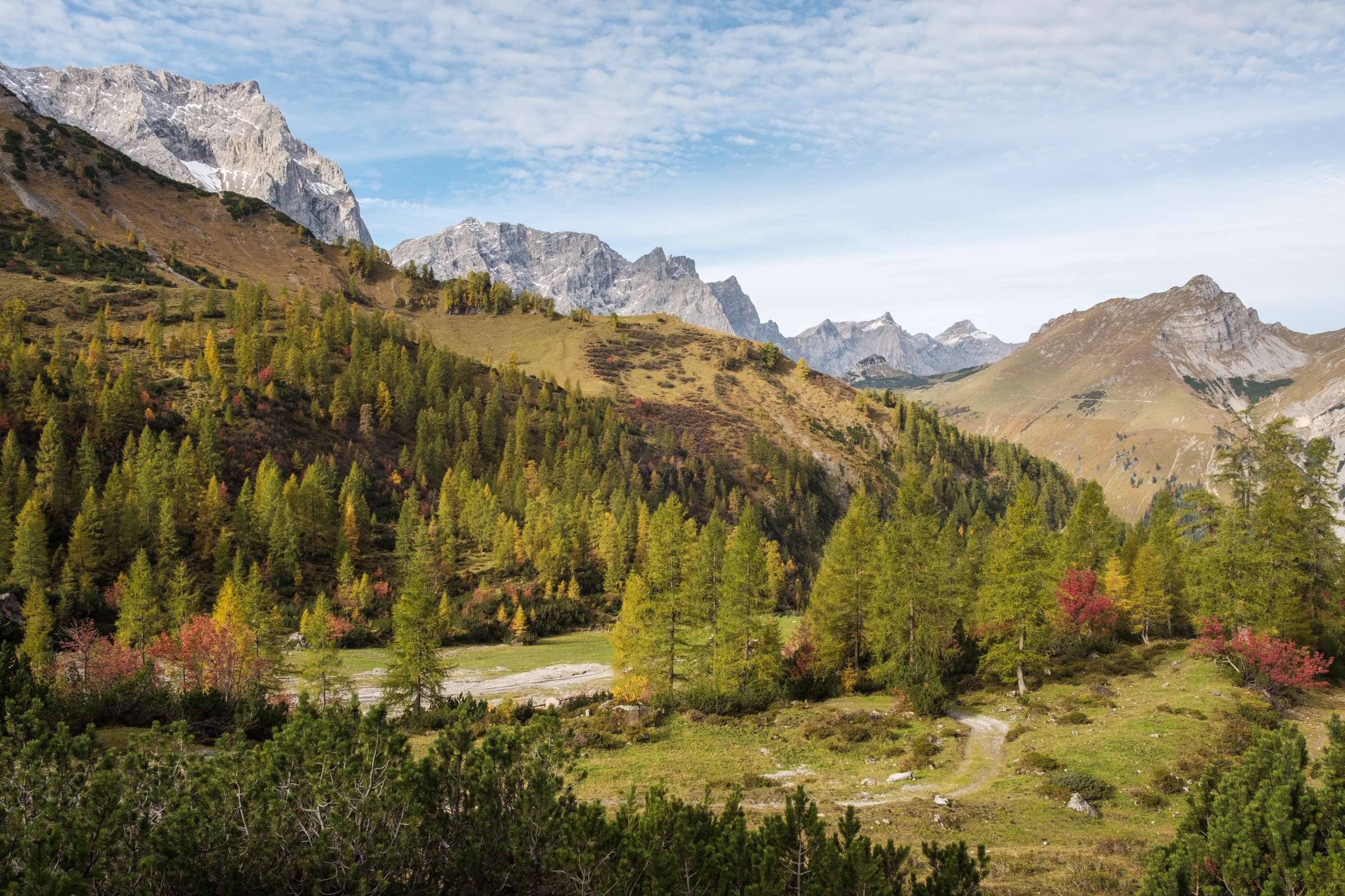 Blue skies and autumnal forest on the ascent from Eng Alm