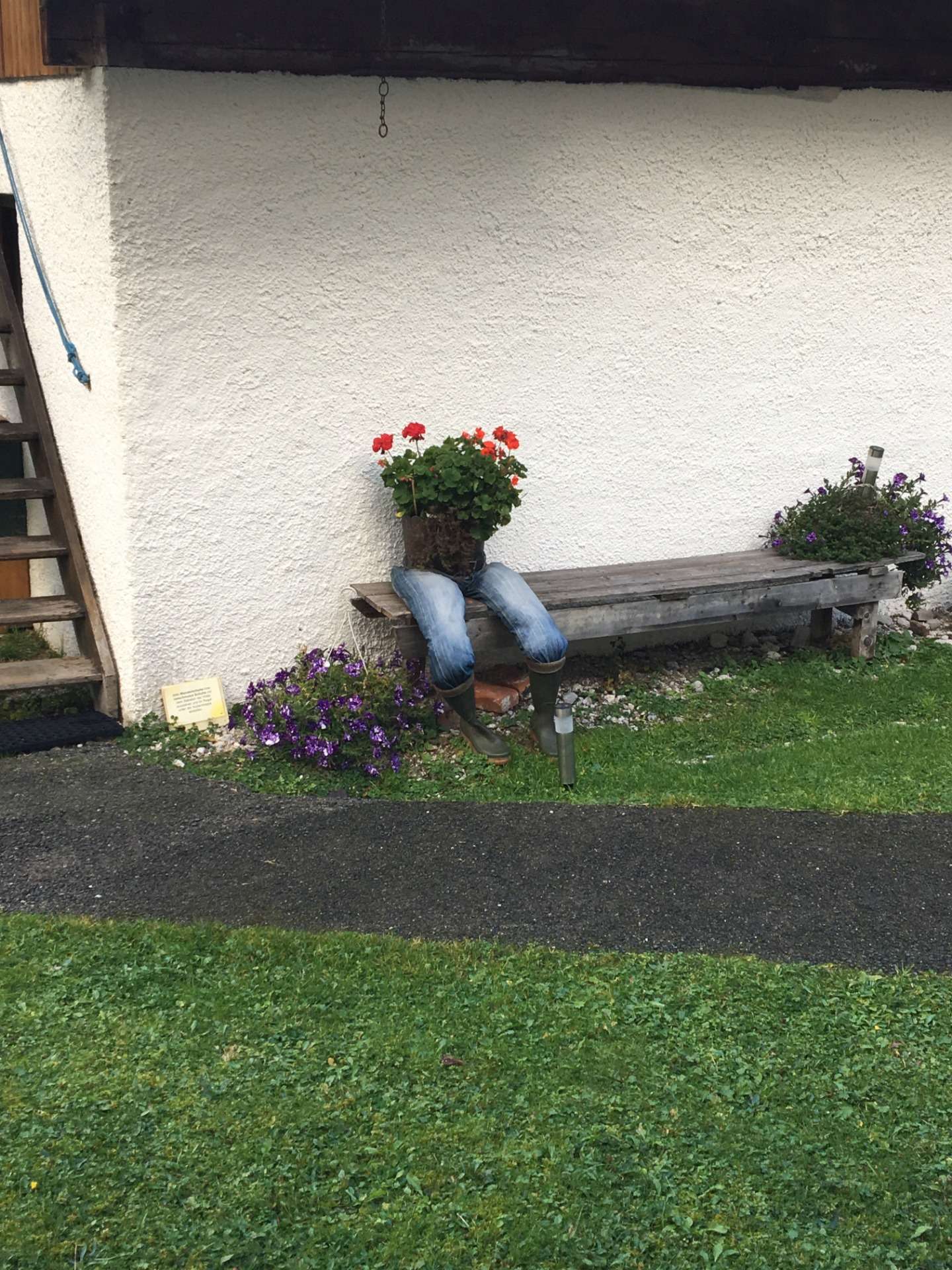 Weird flowering plant pot with jeans and wellies on