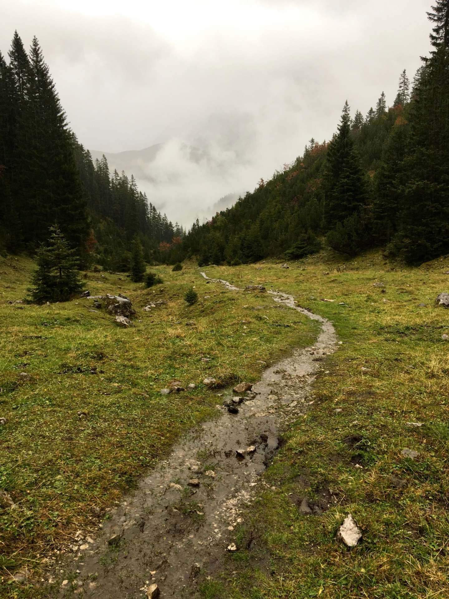 The valley path that is actually a stream now