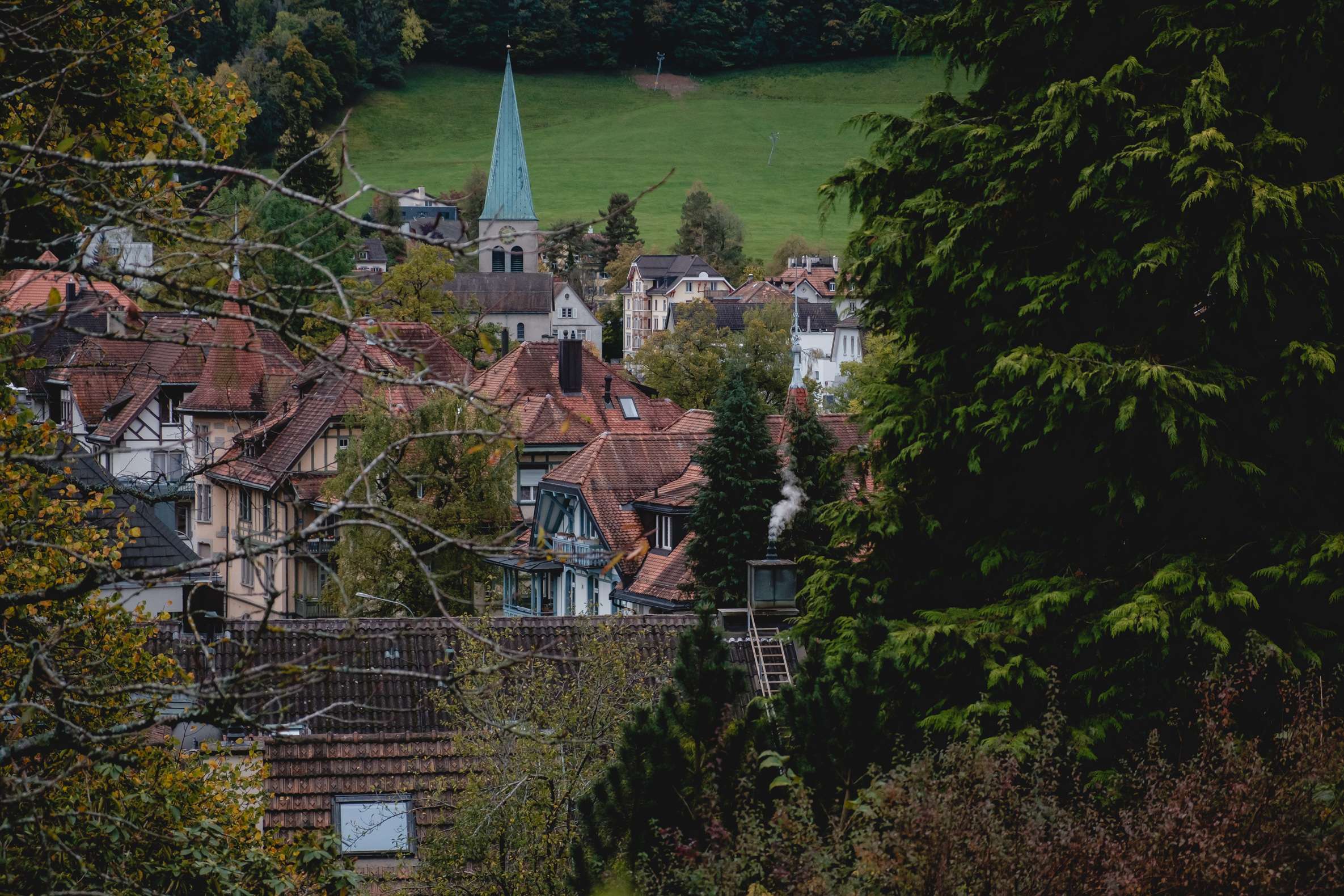 Picturesque view over St. Georgen in St. Gallen