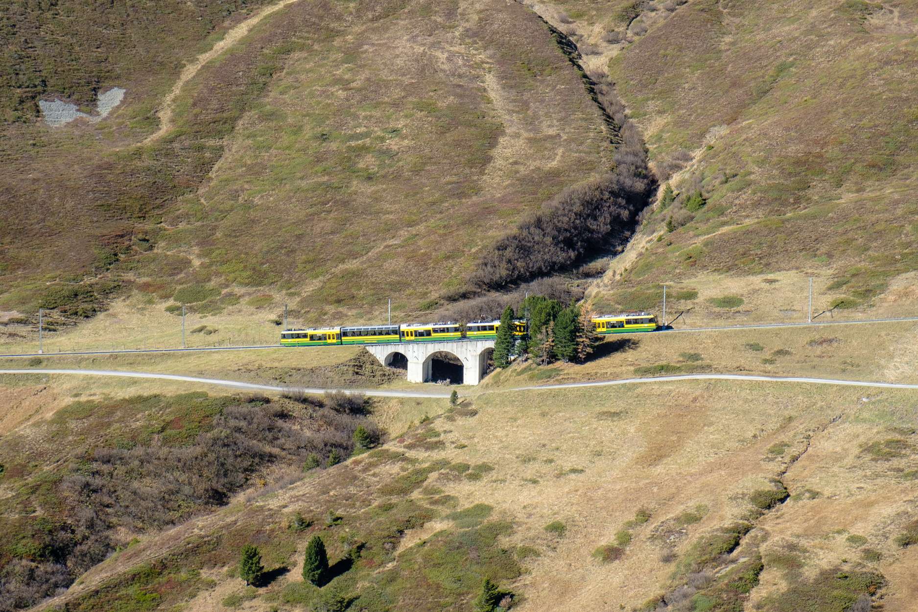 A green and yellow train from Kleine Scheidegg