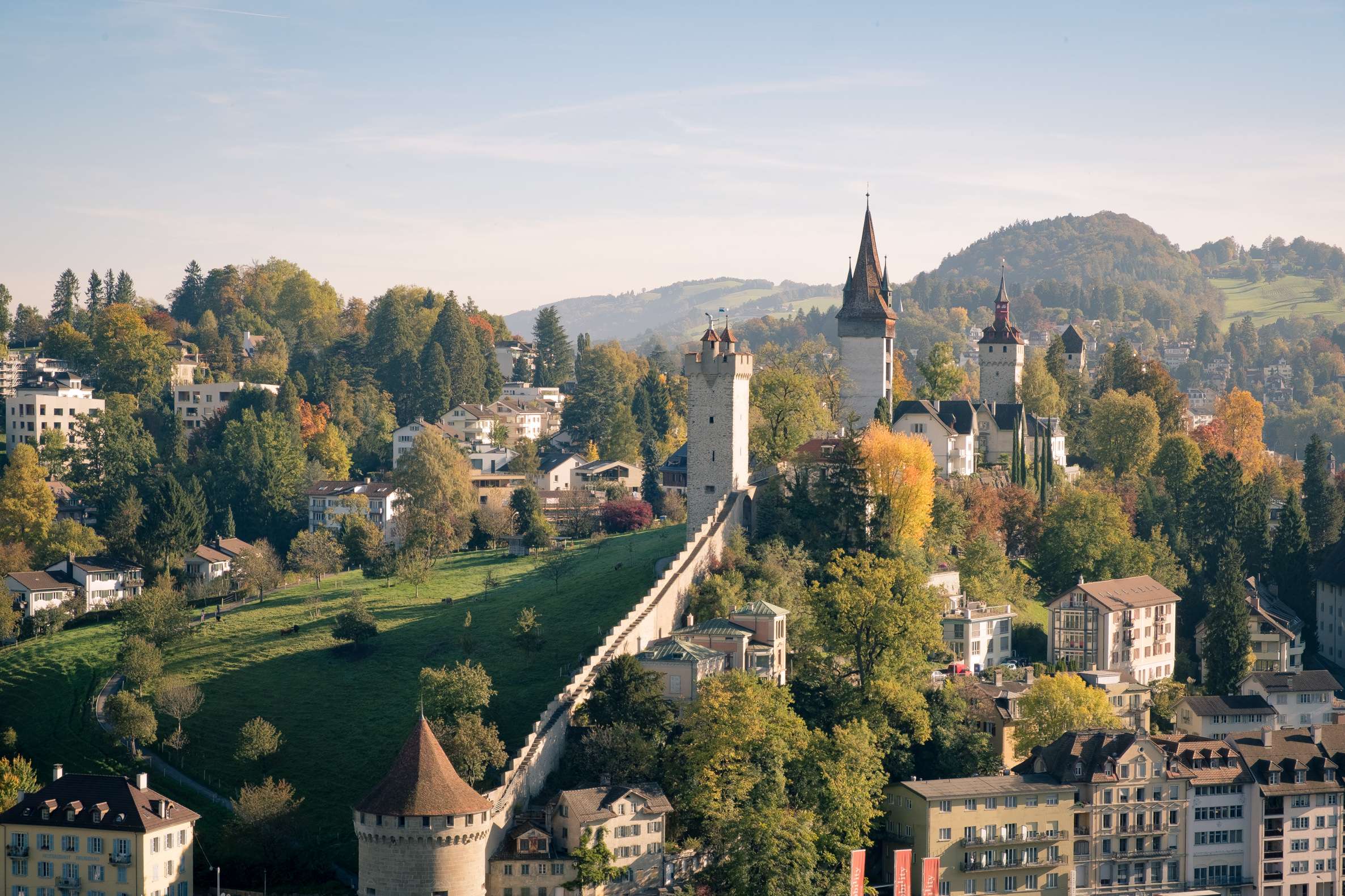 Wild and without worries in Lucerne