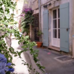 Colourful side street with cute doorways and plants