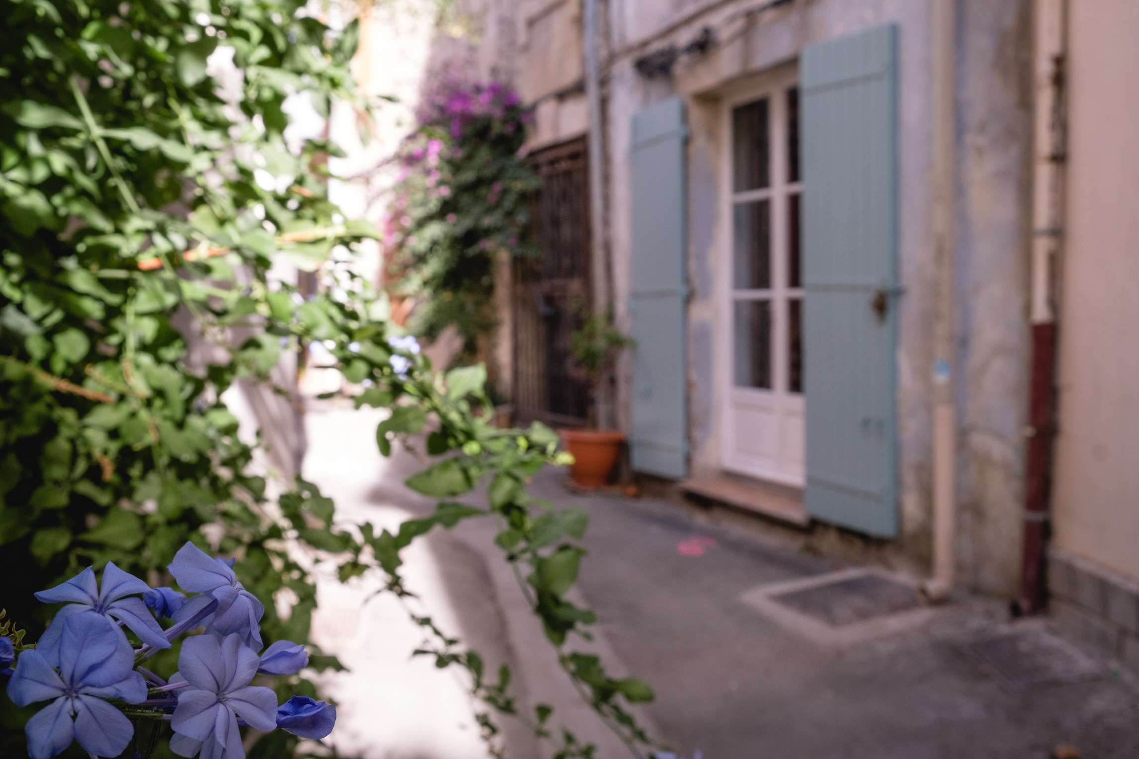 Colourful side street with cute doorways and plants