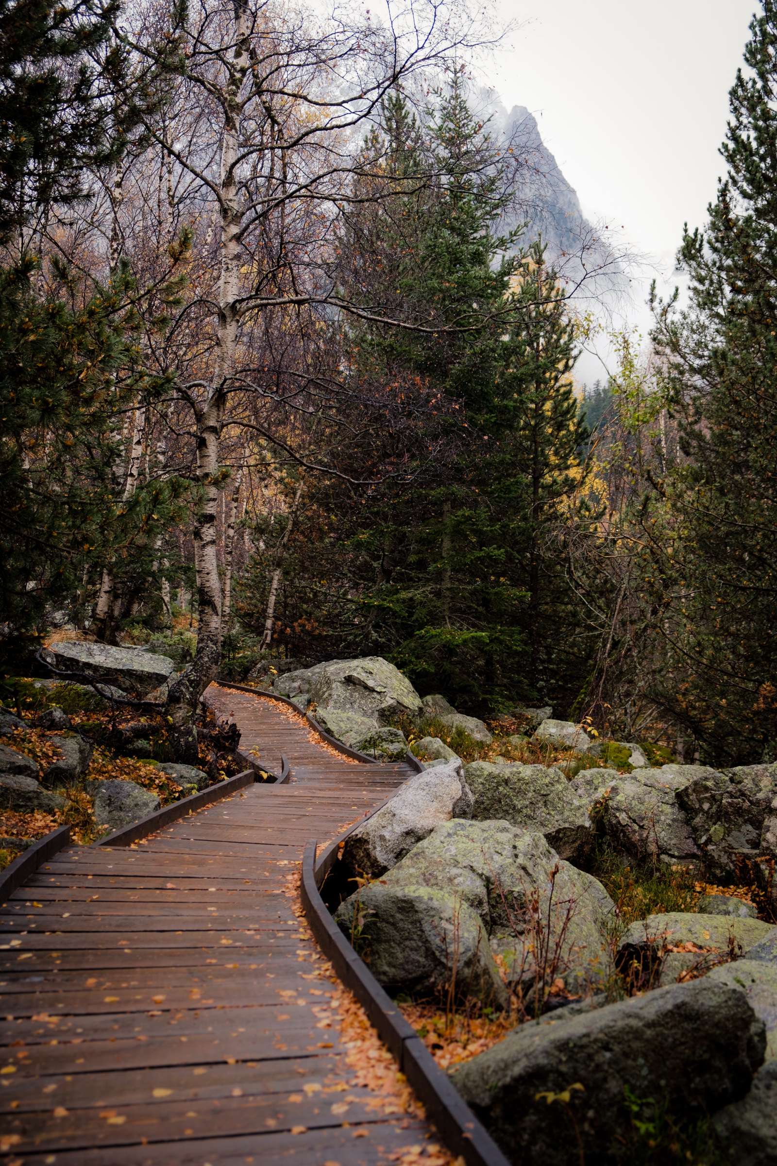 Board walk through forest in Aigüestortes i Estany of Saint Maurici national park