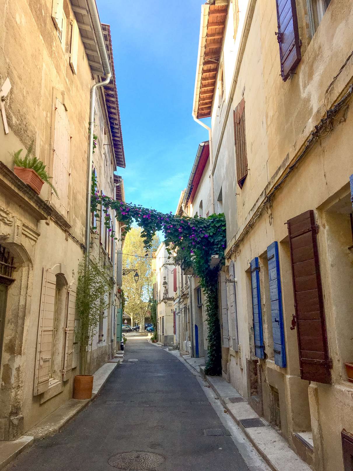 Colourful side street in Arles