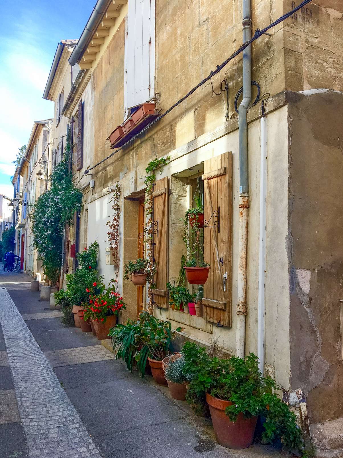 Cute house with lots of potted plants outside