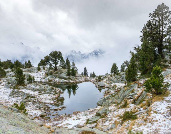 Wild and without: Aigüestortes i Estany of Saint Maurici National Park