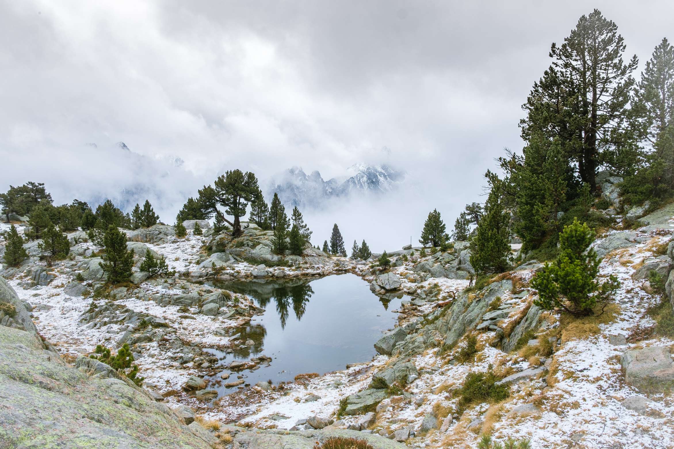 A small alpine lake in Aigüestortes i Estany of Saint Maurici national park lake reflecting trees, cloudy mountains in background