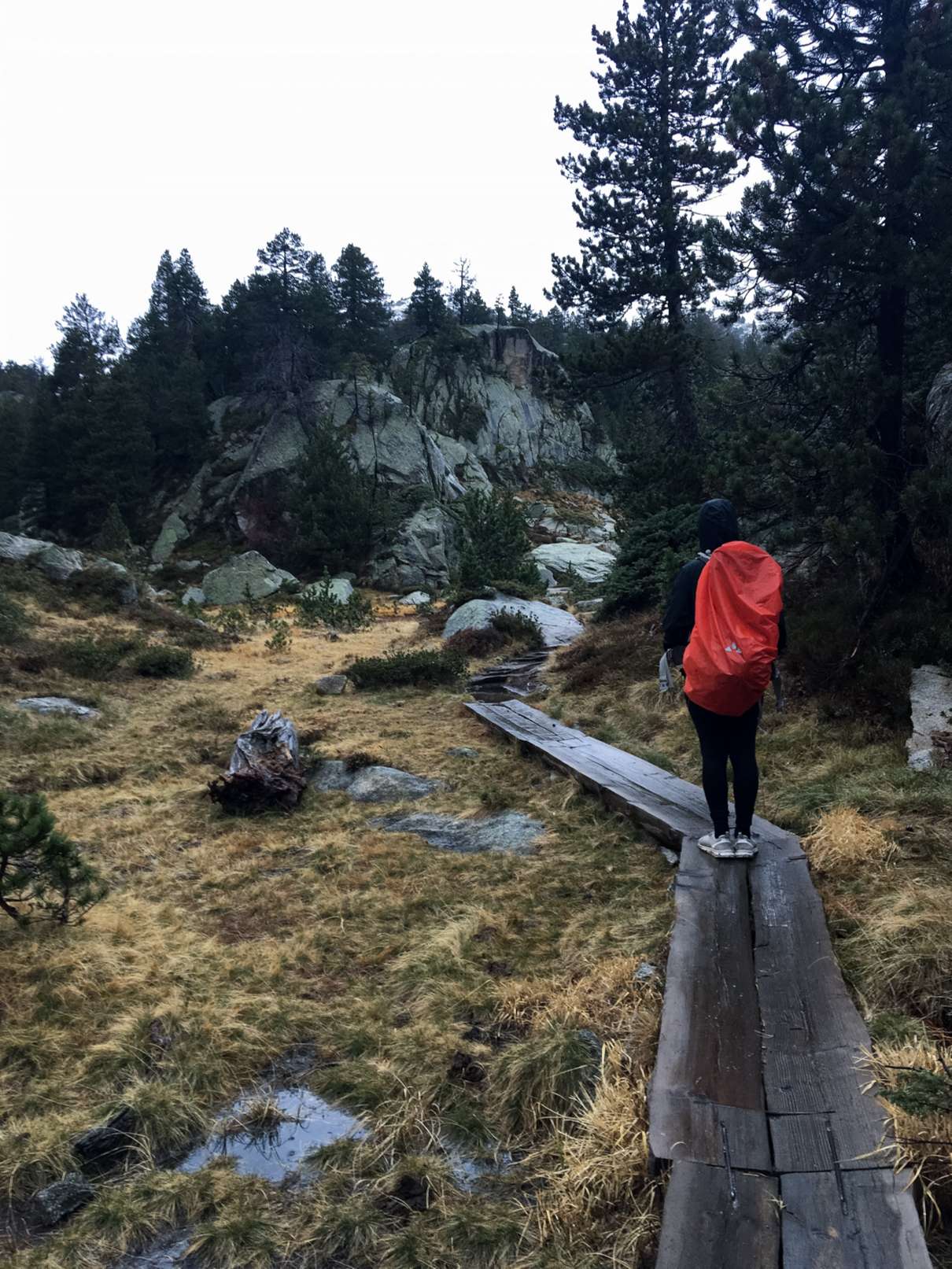 Aydin walking on board walk through the marshes