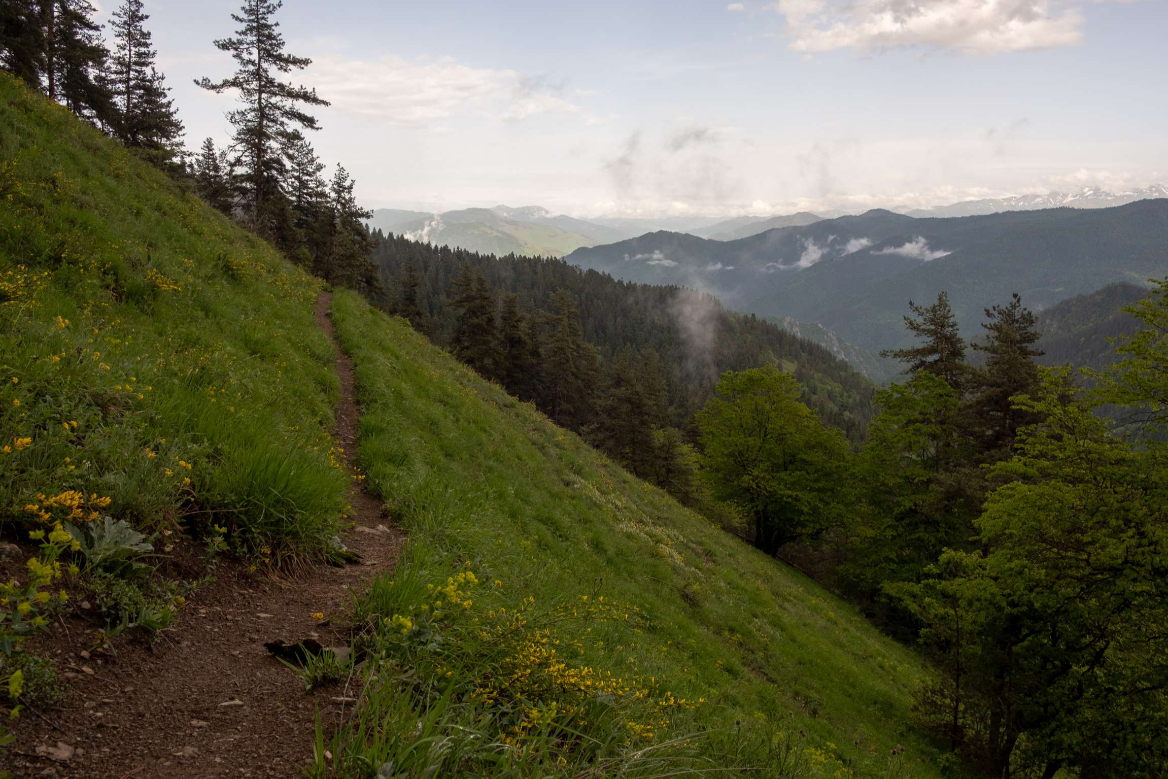 Steep slope, Caroline on footprint trail Borjomi National Park, Samtskhe-Javakheti