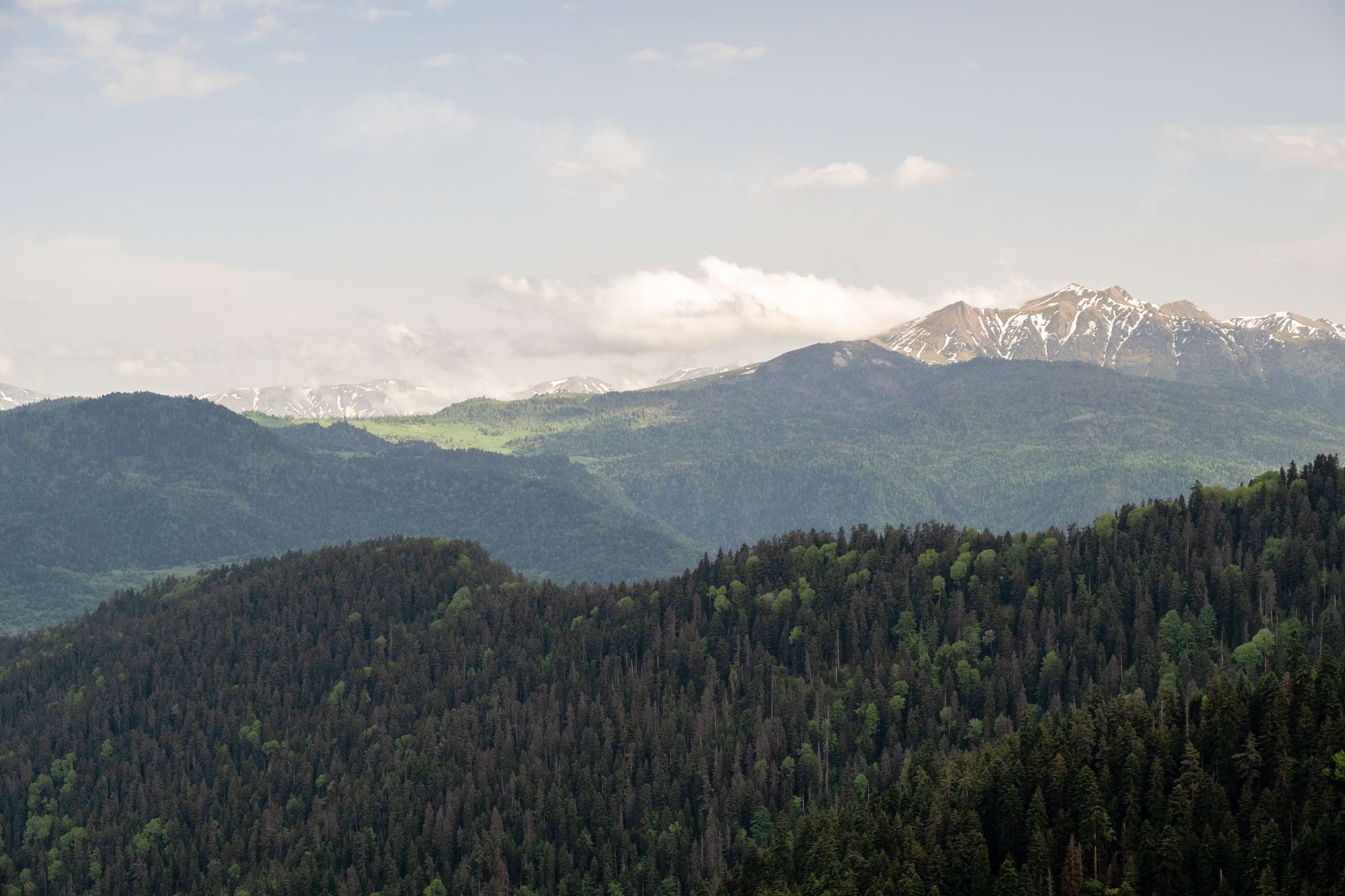 Views on Steep slope, Caroline on Samtskhe-Javakheti from footprint trail, Borjomi National Park 2,