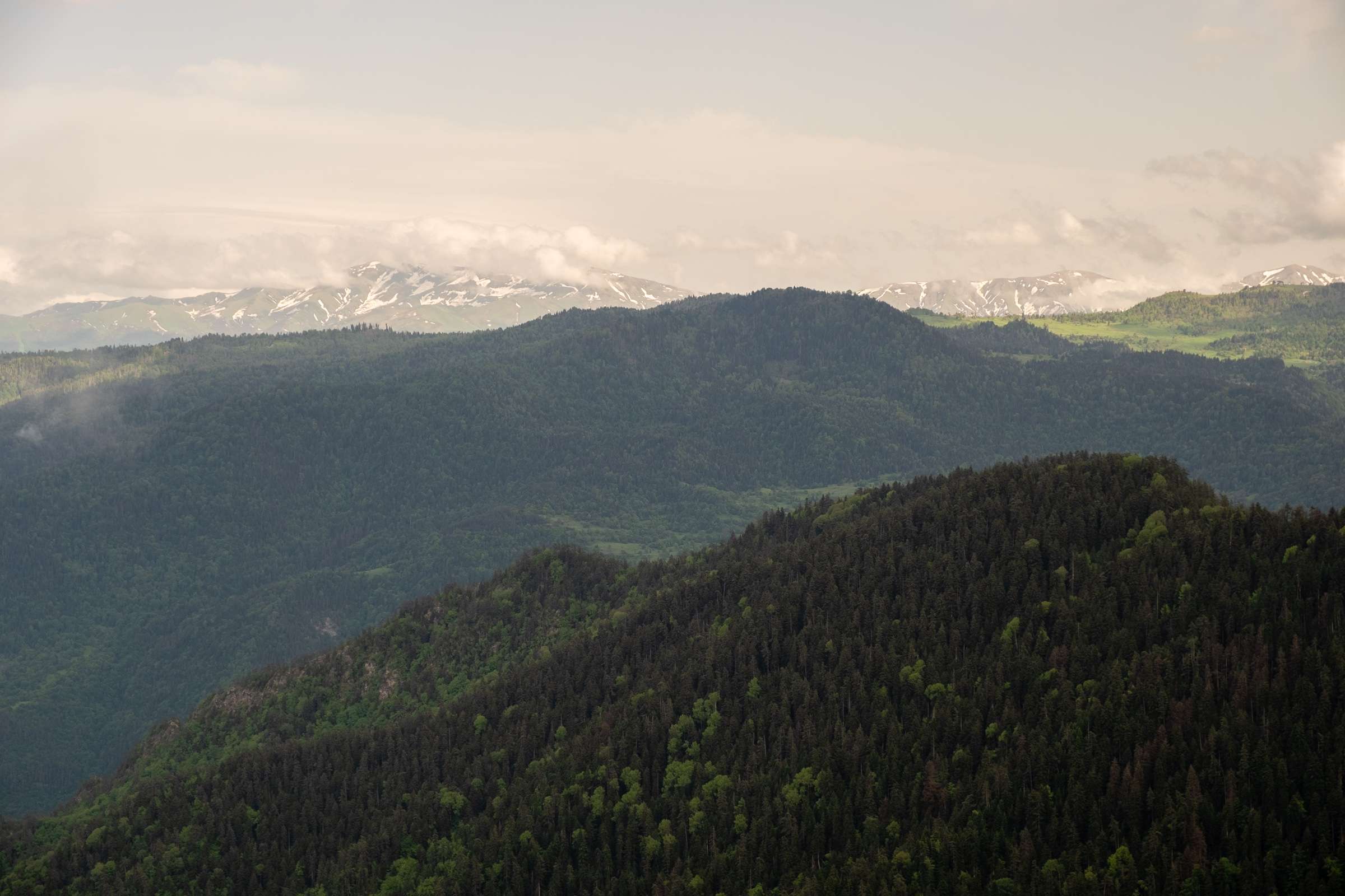 Views on Steep slope, Caroline on Samtskhe-Javakheti from footprint trail, Borjomi National Park,