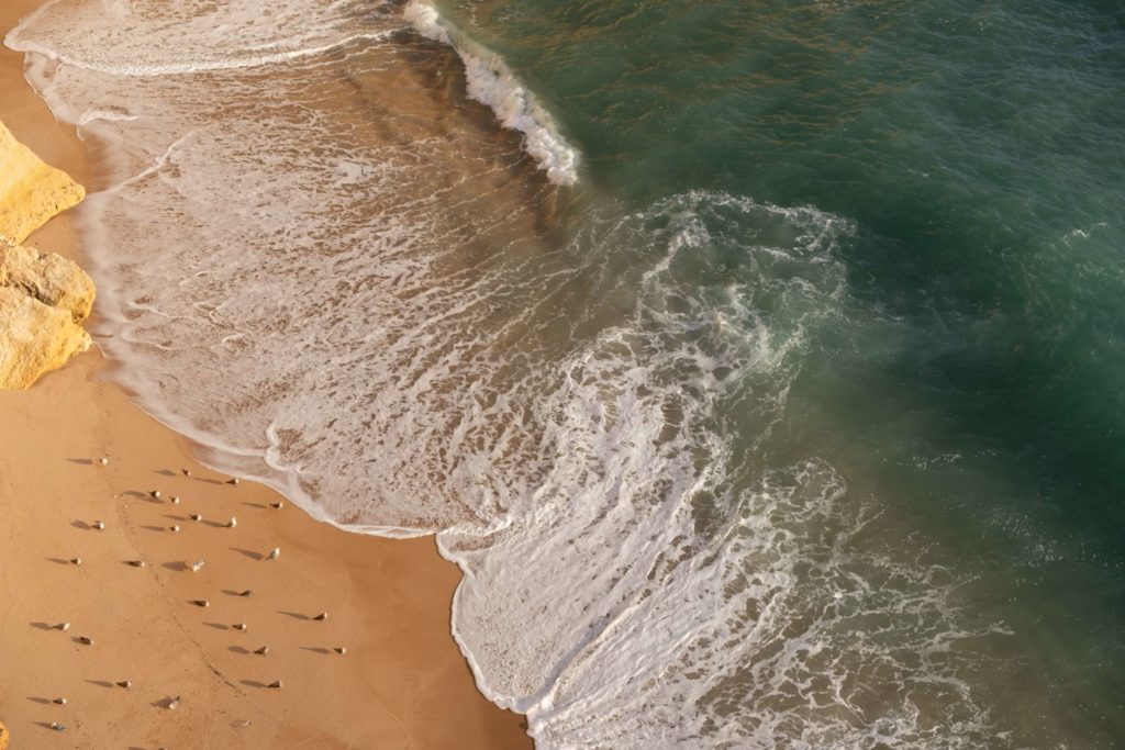 Seagulls on beach at Praia da Corredoura