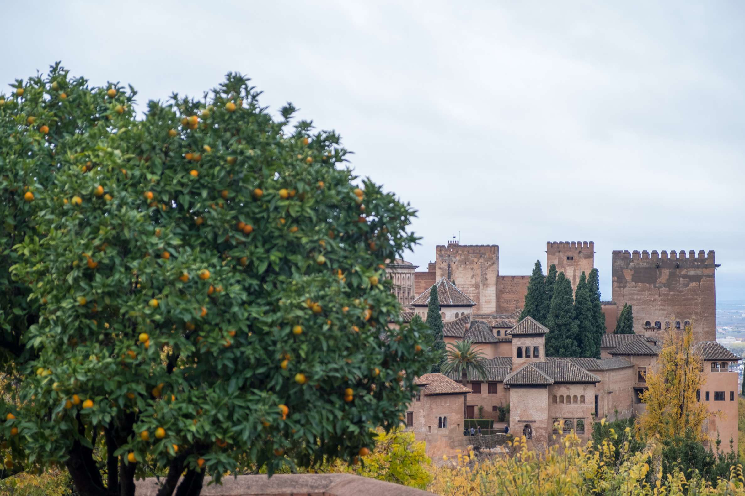 An Orange tree with the Alhambra in the background, Granada