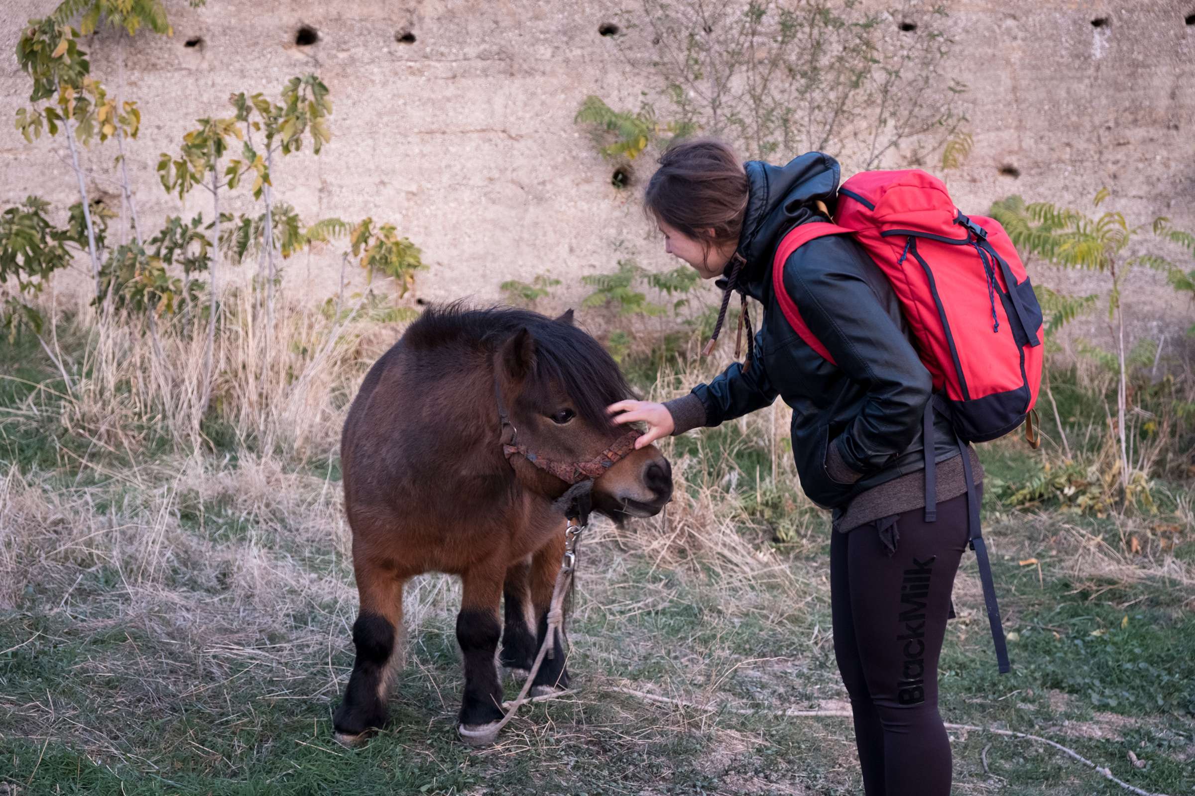 Caroline petting a pony at Saint Michael Viewpoint, Granada