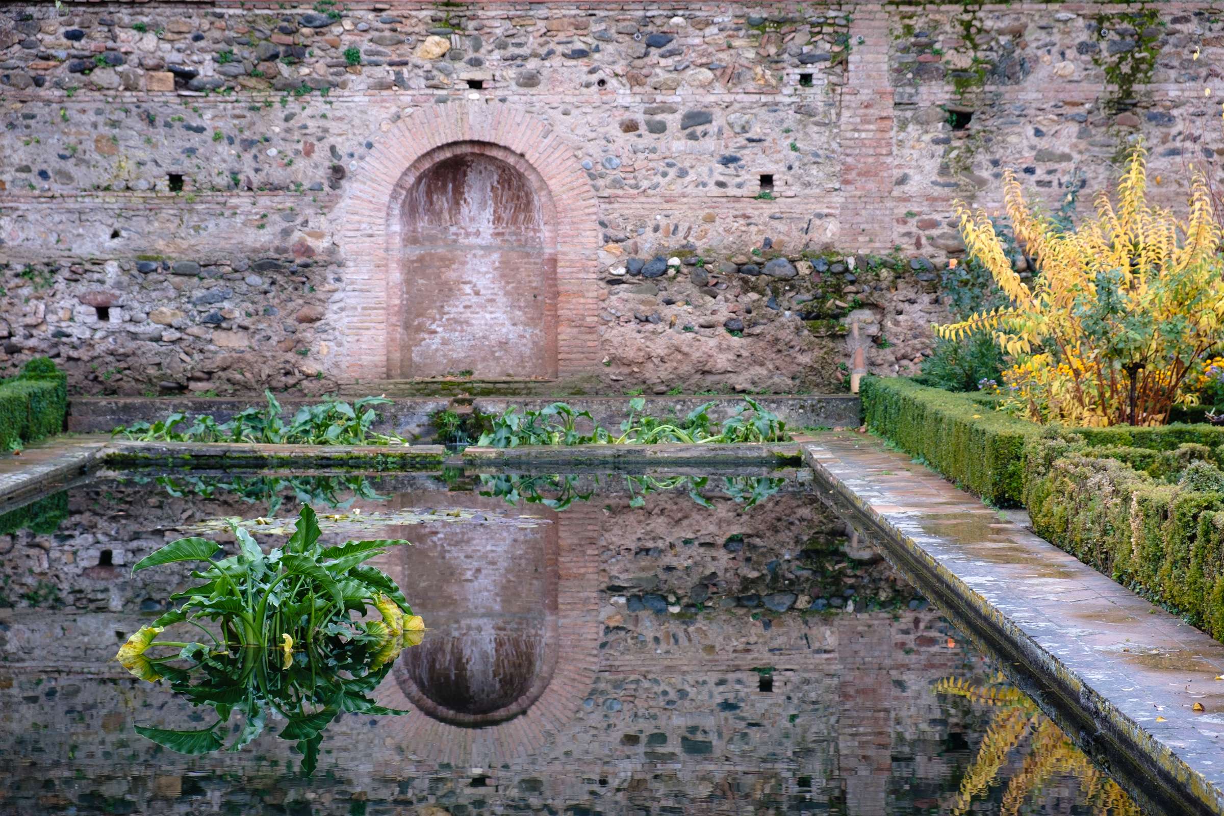 Perfect still reflections in a pond, The Alhambra, Granada