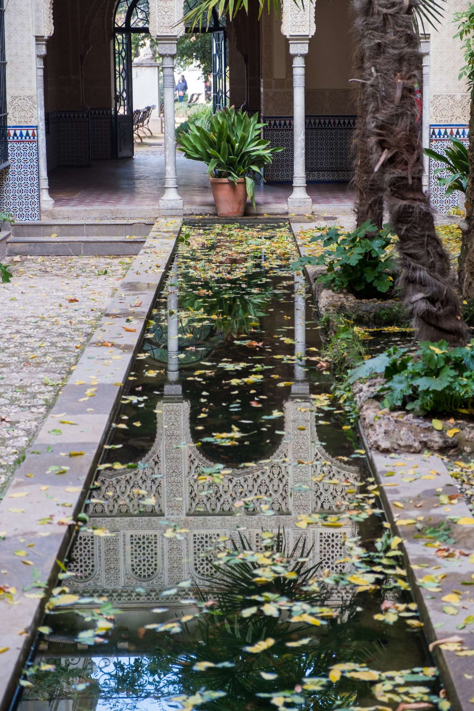 Reflecting pool in the palace courtyard at Carmen de los Mártires, Granada