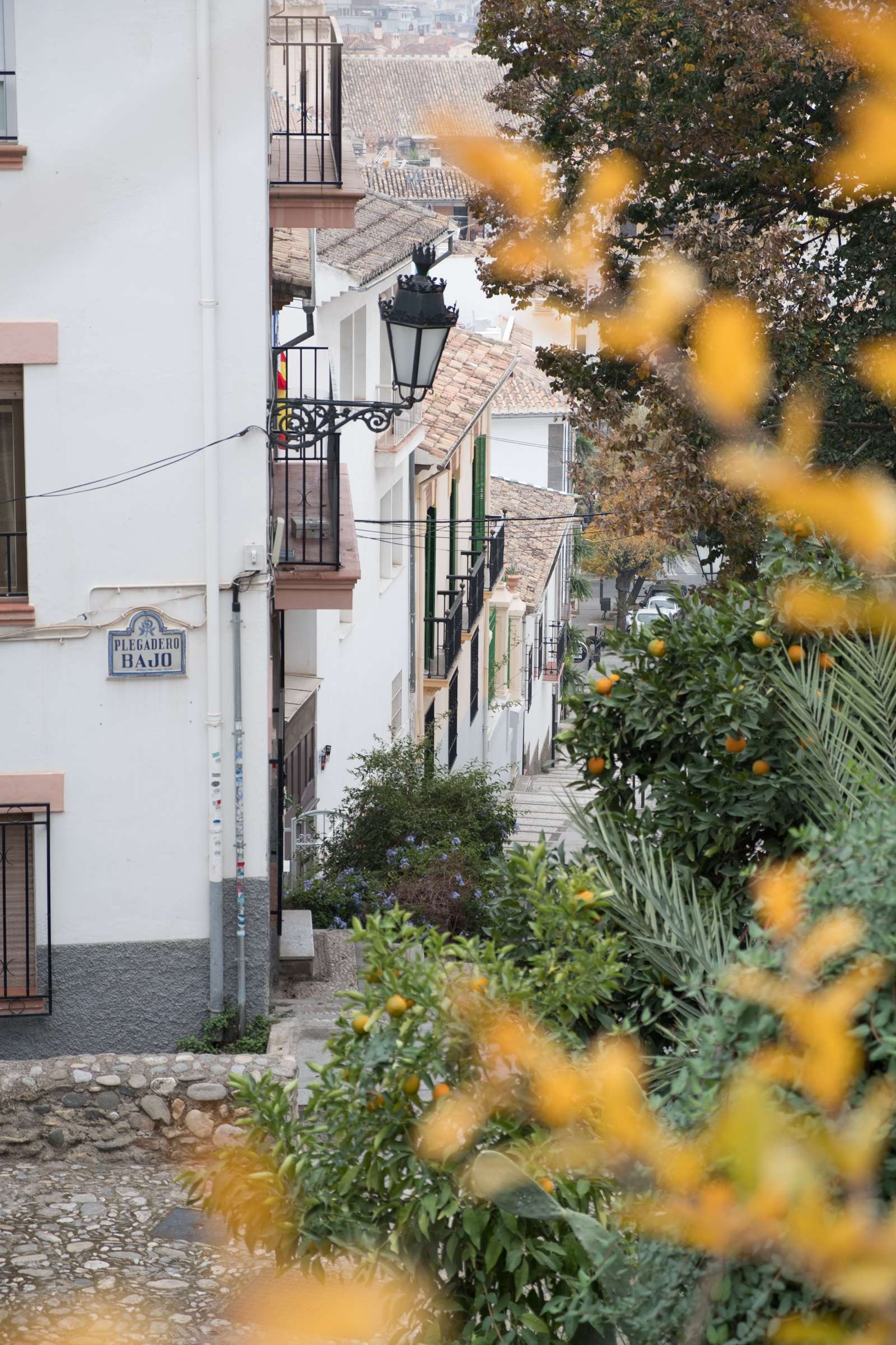 Steep romantic cobbled street in Granada with autumn foliage