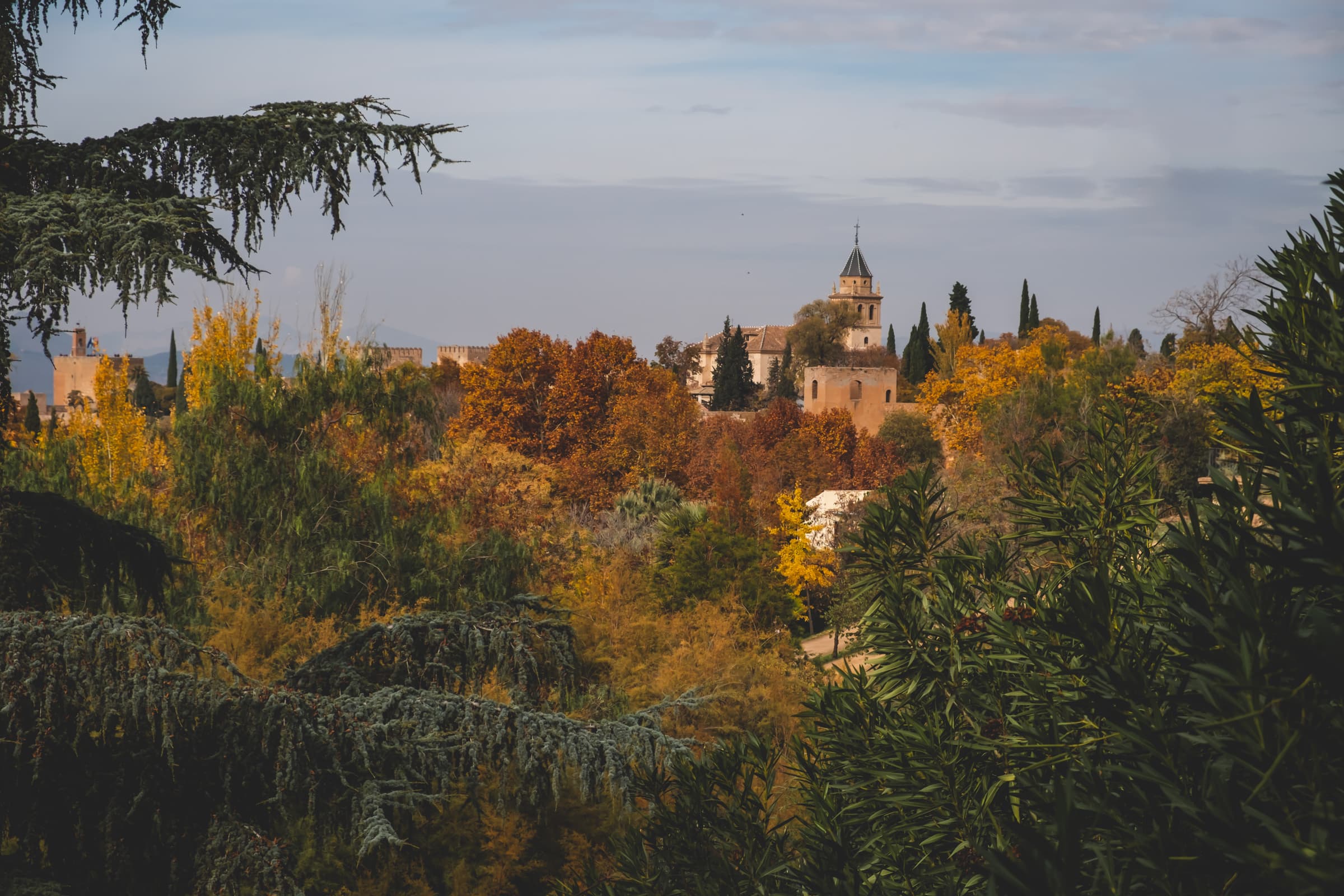 The Alhambra from the gardens of Carmen de los Mártires surrounded by autumn trees, Granada