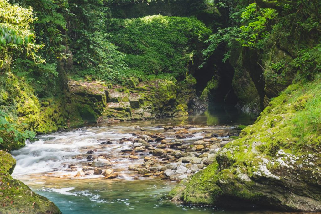 Balda canyon with lush green foliage