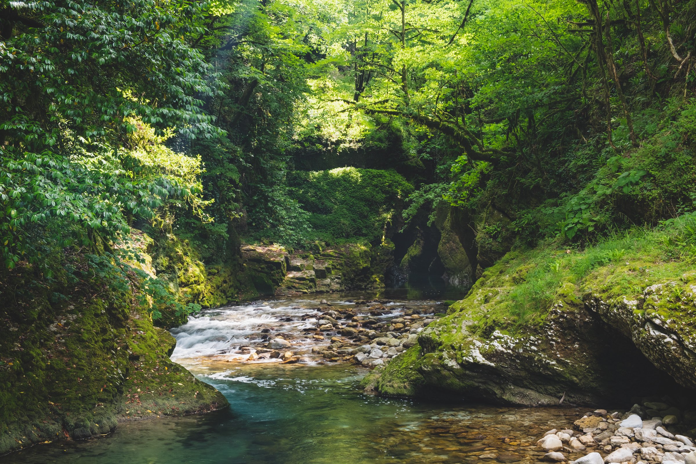 Balda canyon with lush green foliage and flowing rapids