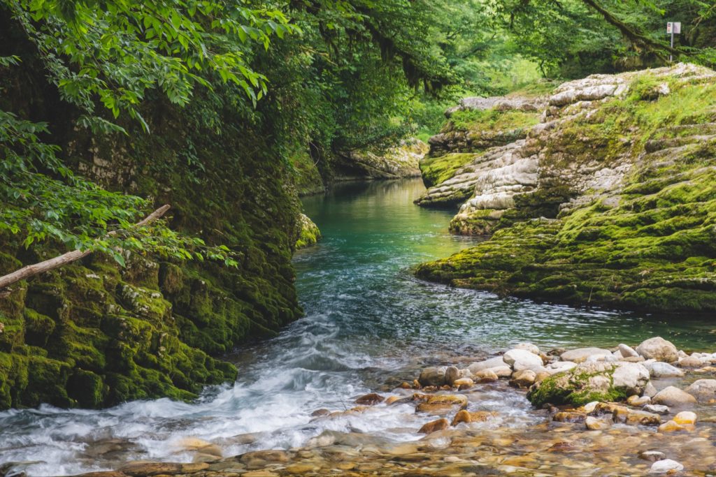 Balda canyon with rocks covered in thick green moss