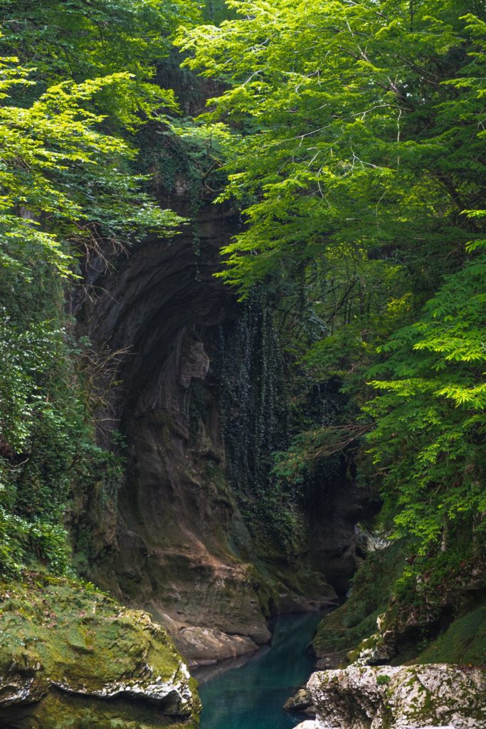 Martvili canyon tall half moon rock walls with lush green foliage